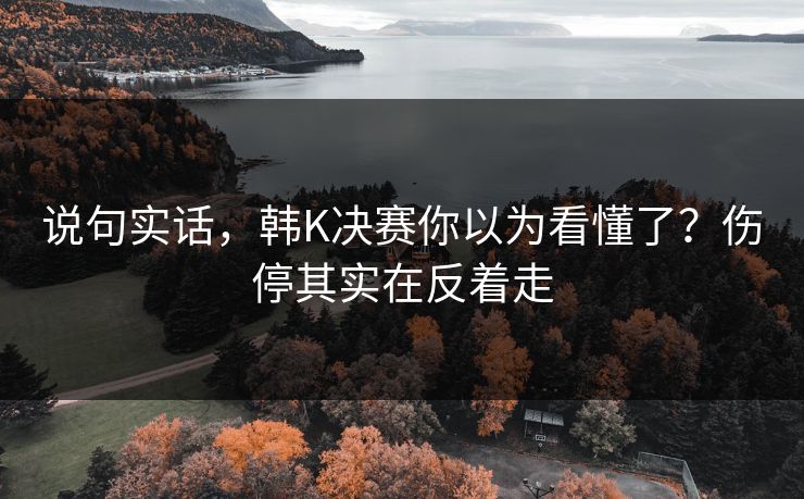 说句实话，韩K决赛你以为看懂了？伤停其实在反着走