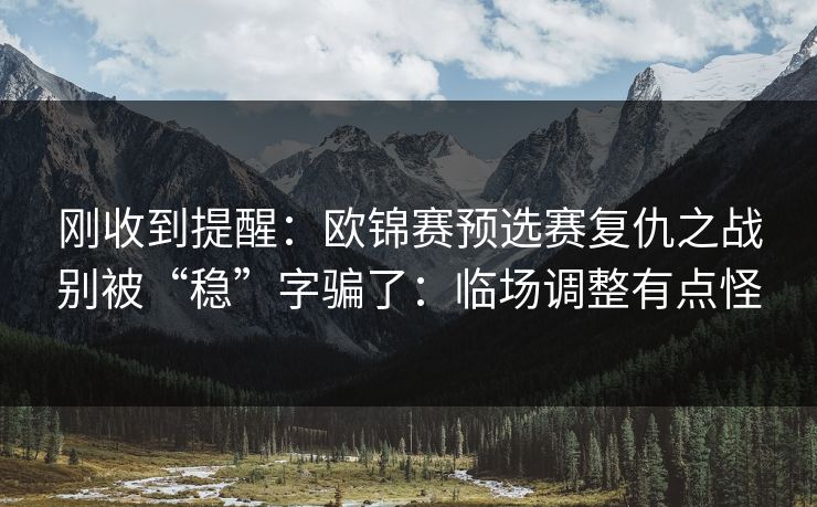 刚收到提醒：欧锦赛预选赛复仇之战别被“稳”字骗了：临场调整有点怪