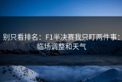 别只看排名：F1半决赛我只盯两件事：临场调整和天气